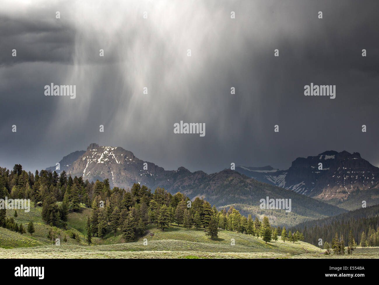 Summer rain storm over the Absaroka mountain range in Yellowstone
