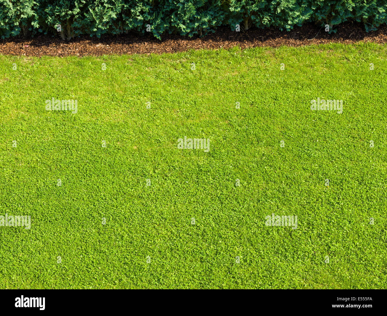 green lawn green grass garden nice bright good well trained perfect green fee golf bio organic rich Stock Photo