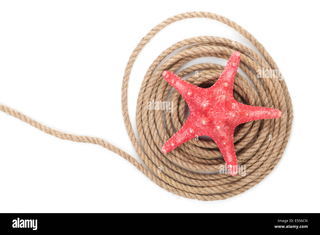 Starfish over ship rope. Isolated on white background Stock Photo - Alamy