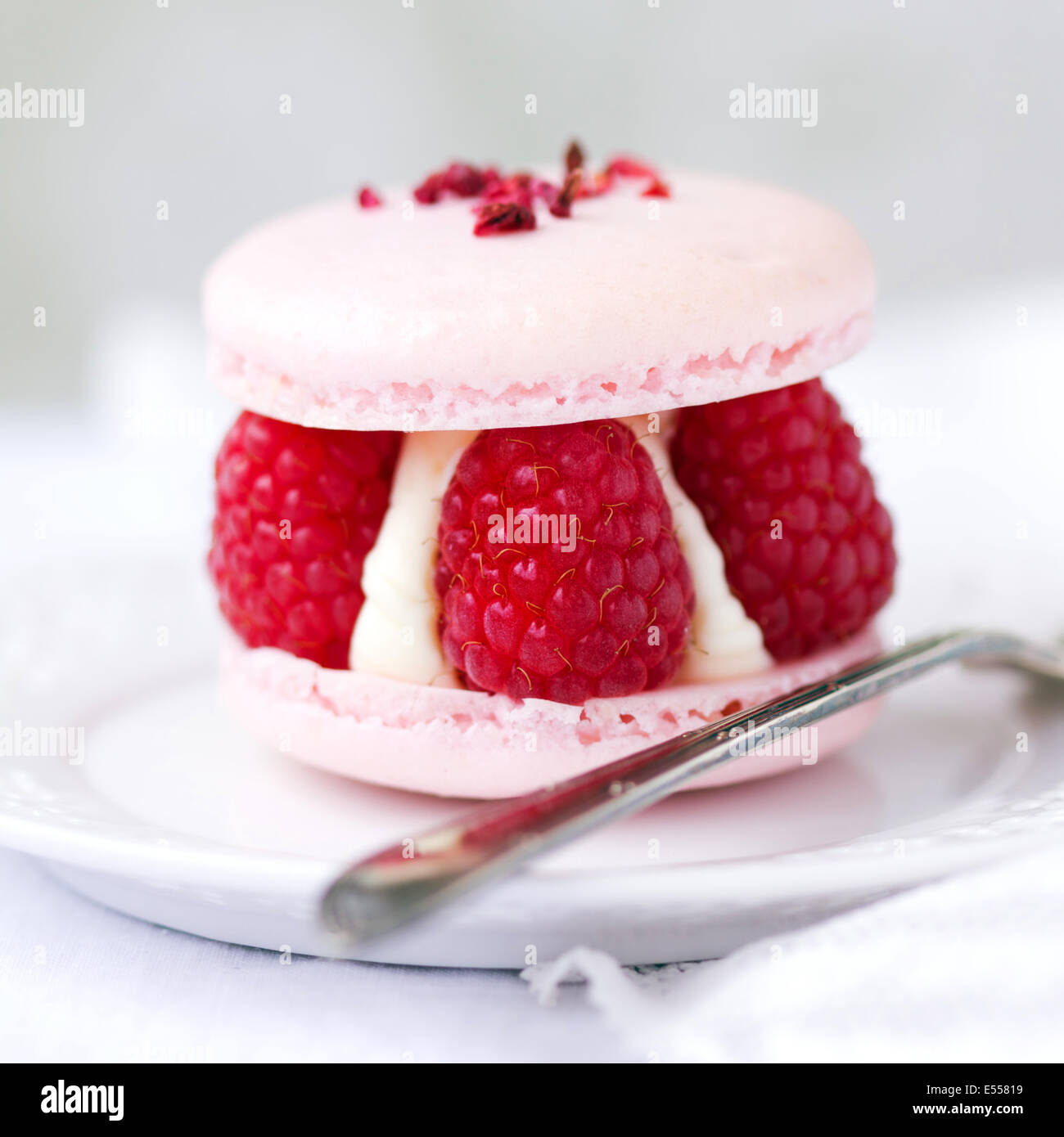 Macaron filled with fresh raspberries and cream Stock Photo