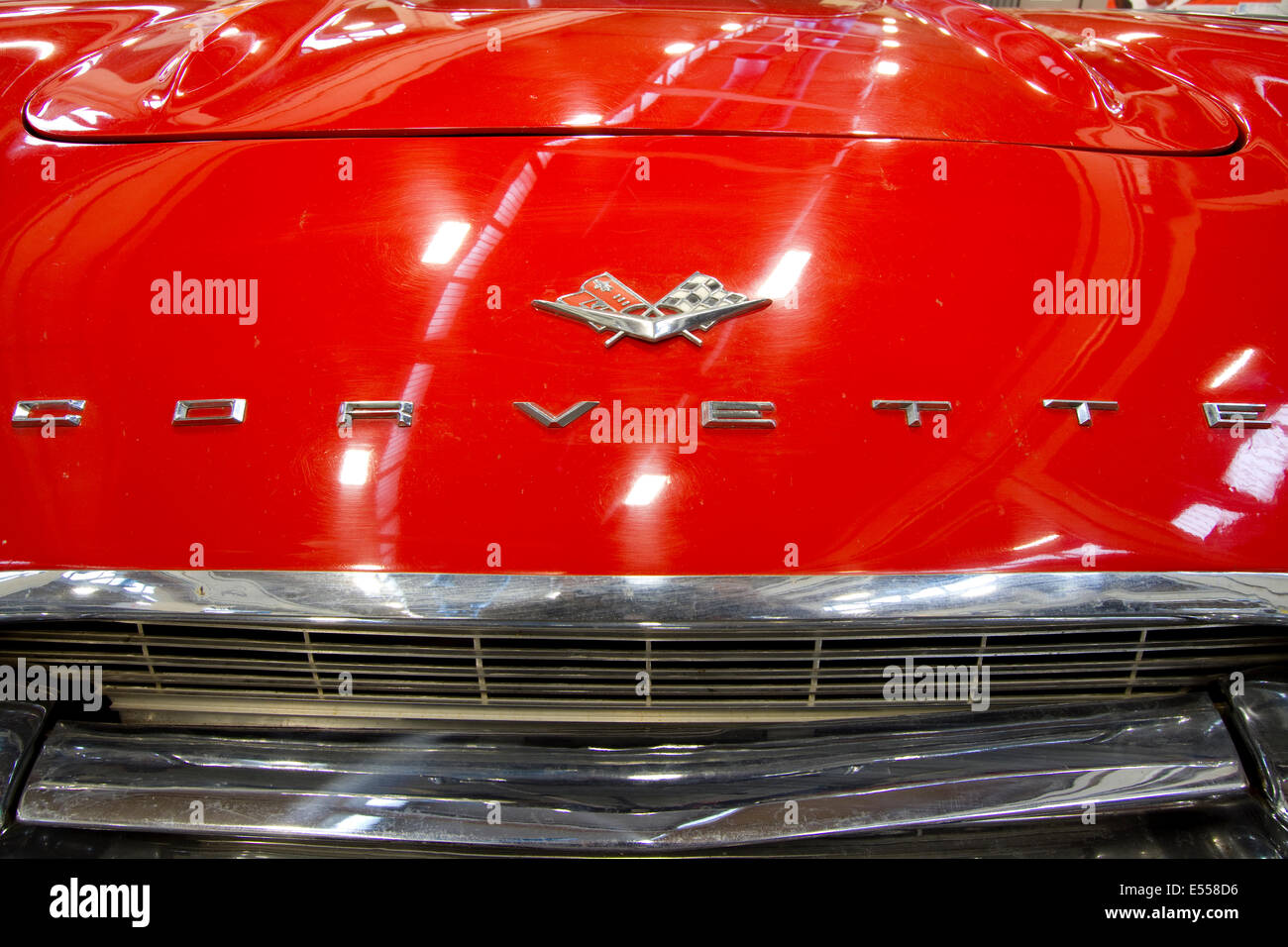Chevrolet Corvette logo on the hood. Stock Photo