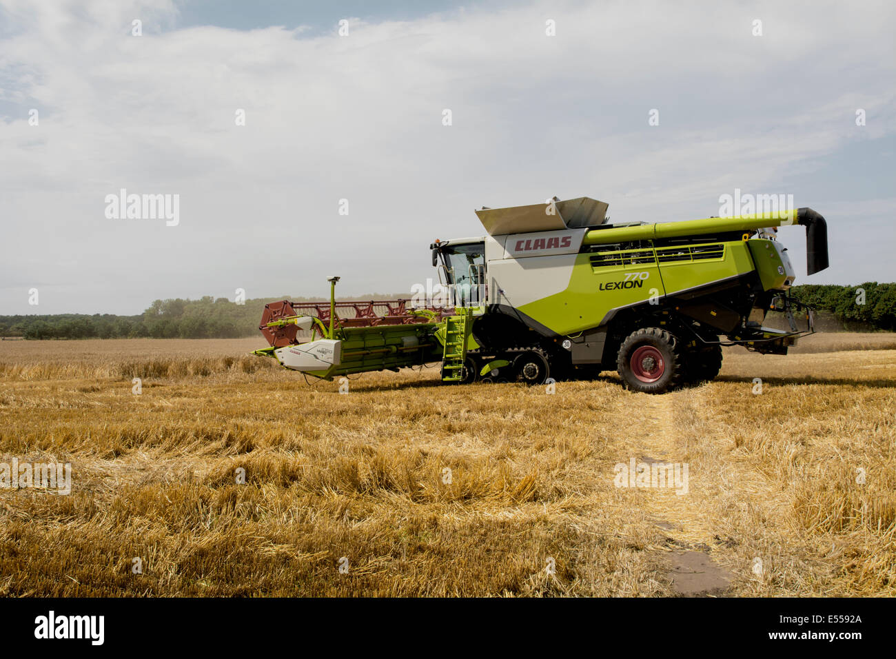 A combine harvester cutting a wheat field. Stock Photo