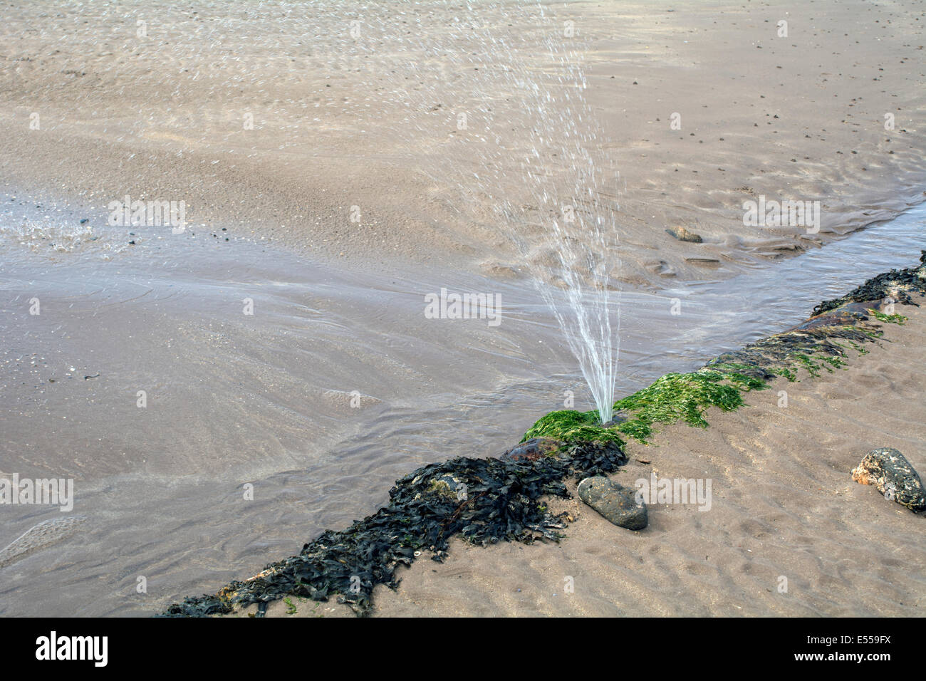 A leaking waste pipe spraying dirty water onto a beach.strega Stock