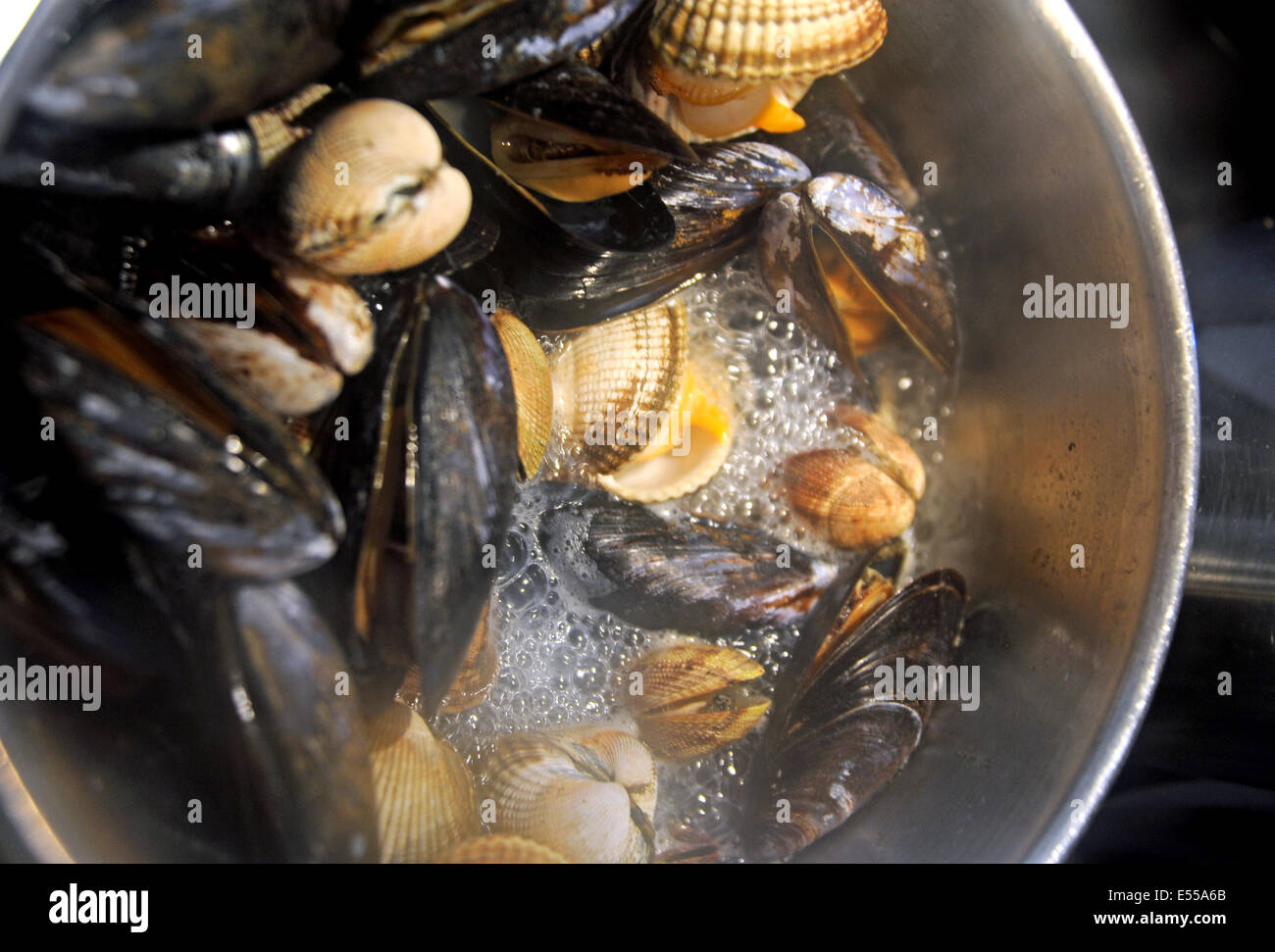 Seafood of mussels clams prawns and cockles with linguine pasta cooking