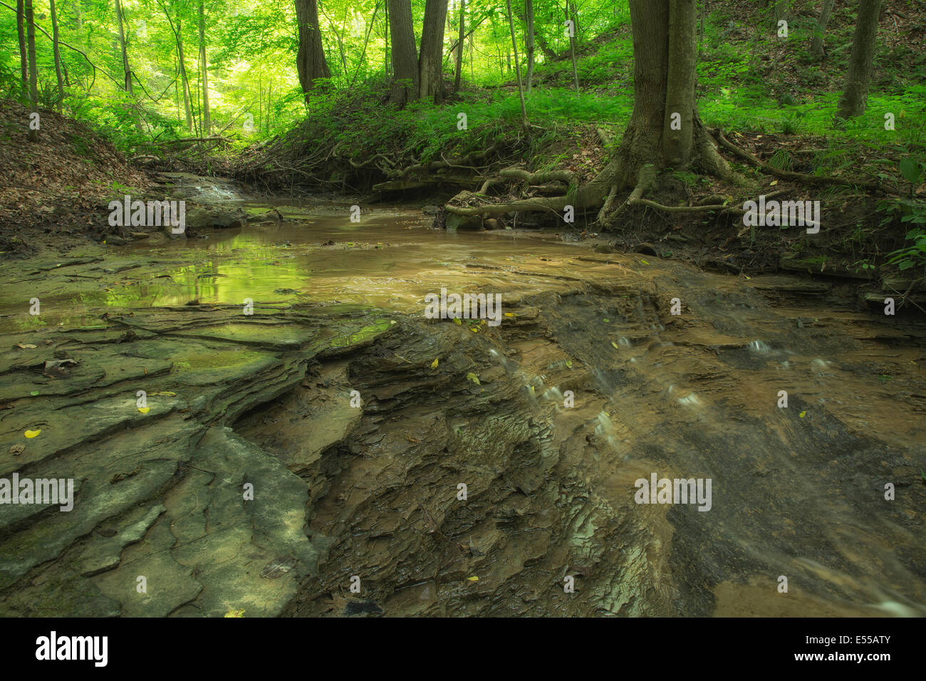 Water trickling down the shale rocks in Distillery Creek, Cuyahoga ...