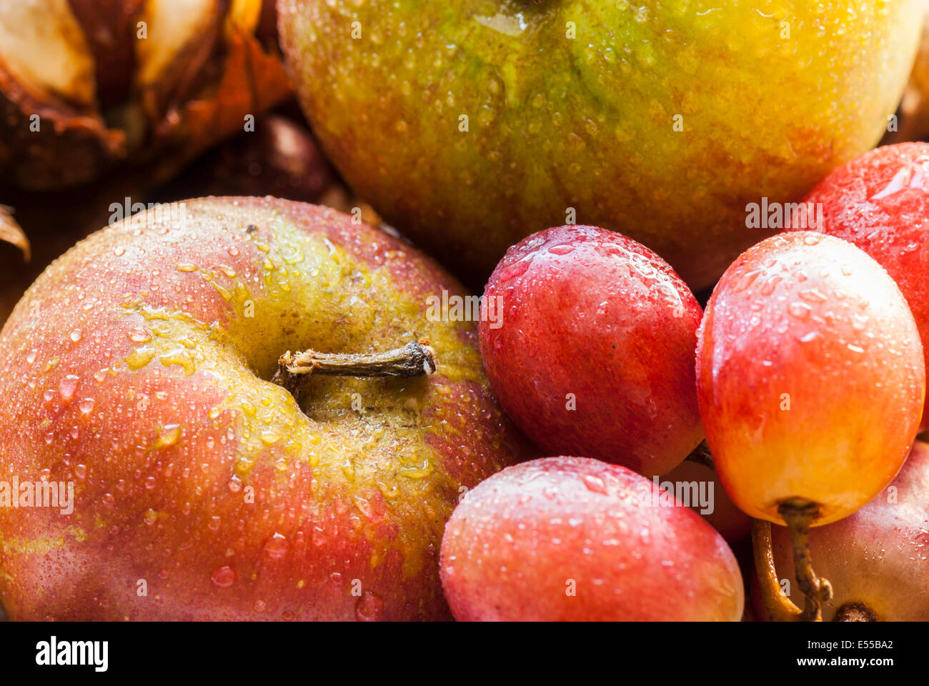 A close up, still life photograph of wet Apples and Grapes Stock Photo