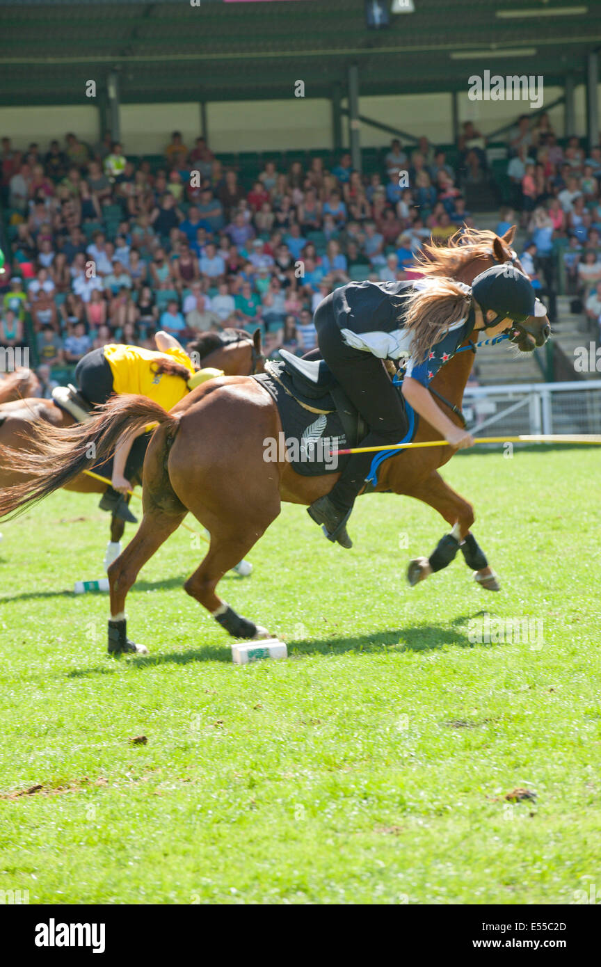 Llanelwedd, UK. 21st July 2014. The Royal Welsh Mounted Games takes place in the Main Ring. A record numbers of visitors in excess of 240,000 are expected this week over the four day period of Europe’s largest agricultural show. Livestock classes and special awards have attracted 8,000 plus entries, 670 more than last year. The first ever Royal Welsh Show was at Aberystwyth in 1904 and attracted 442 livestock entries. Credit: Graham M. Lawrence/Alamy Live News. Stock Photo