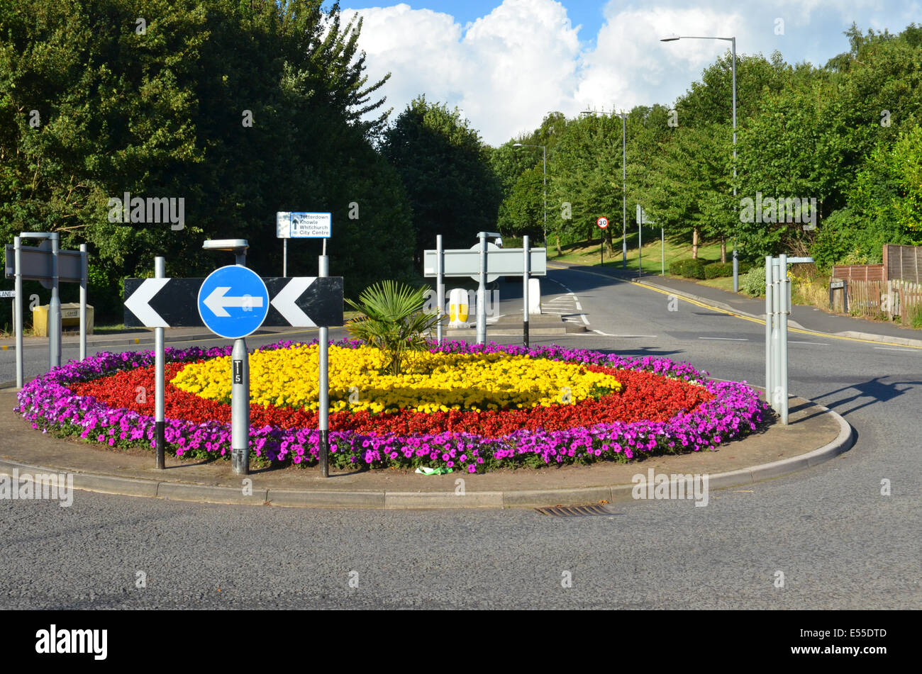 UK Weather, very brightly coloured flowers in bloom ,on a hot and warm