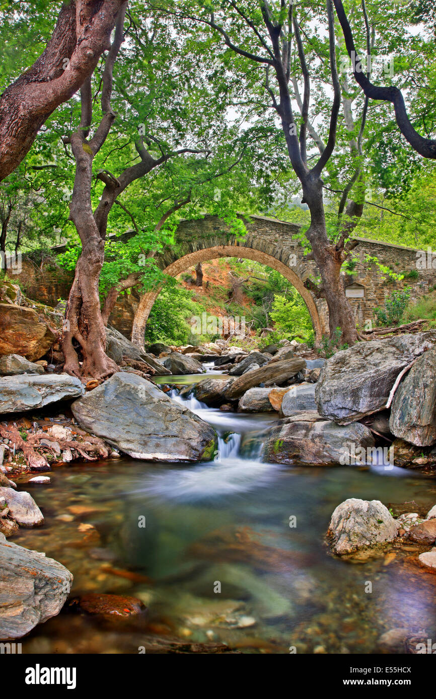 The old stone arched bridge right below Platanistos village, Evia ('Evoia') island, Central Greece. The locals call it 'Artino'. Stock Photo