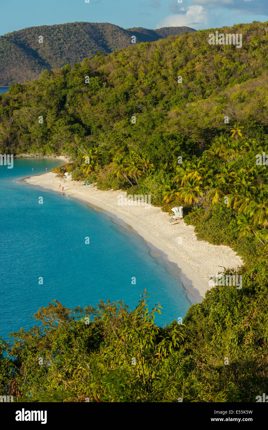 Trunk Bay and Beach on the Caribbean Island of St John in the US Virgin