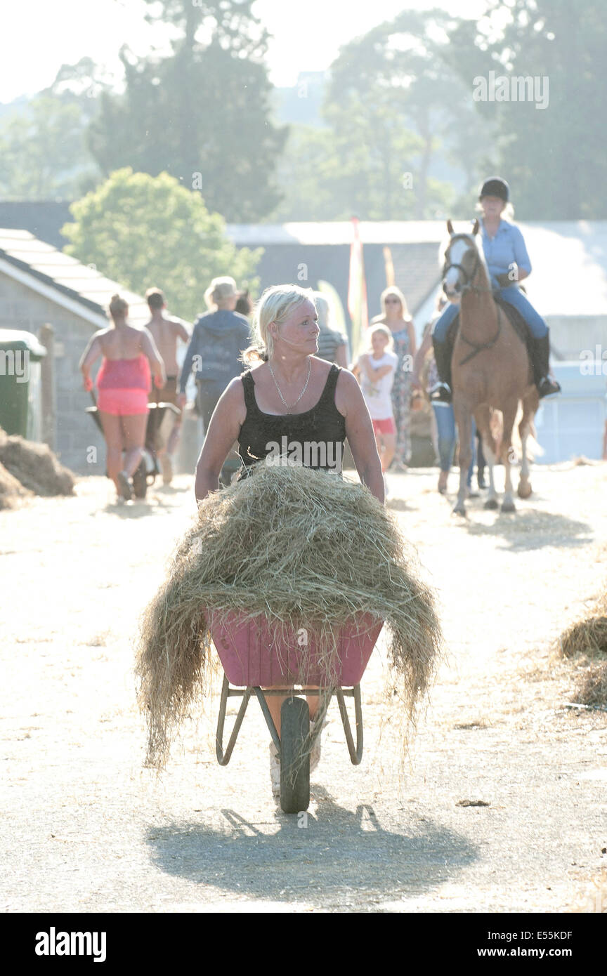 Llanelwedd, UK. 21st July 2014. Exhibitors tend to their livestock behind the scenes after a blistering hot day. A record numbers of visitors in excess of 240,000 are expected this week over the four day period of Europe’s largest agricultural show. Livestock classes and special awards have attracted 8,000 plus entries, 670 more than last year. The first ever Royal Welsh Show was at Aberystwyth in 1904 and attracted 442 livestock entries. Credit: Graham M. Lawrence/Alamy Live News. Stock Photo