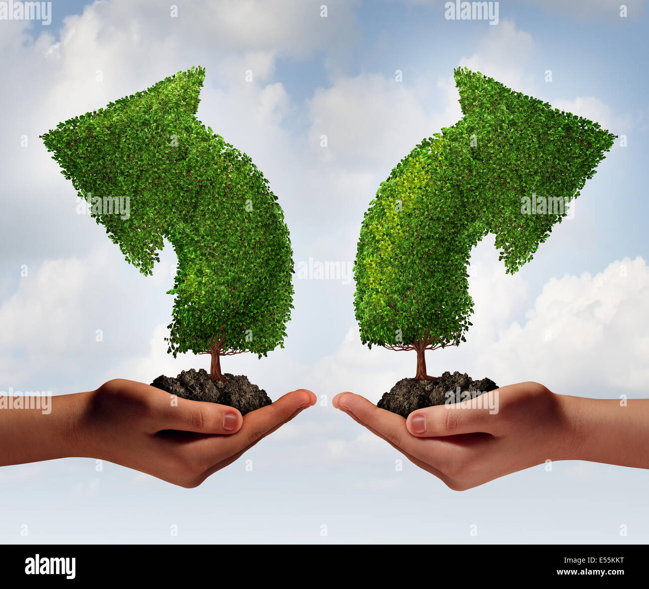 Growth choice and business guidance concept as two human hands holding up trees shaped as an arrow growing in opposite directions as a crossroad metaphor for choosing the right option for career or financial success. Stock Photo