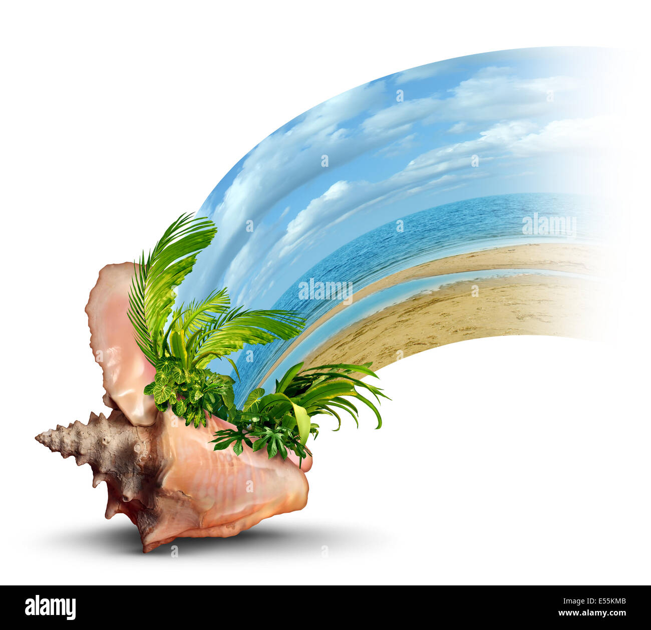 Vacation destination travel and liesure concept as an ocean conch shell with tropical plants and hot sandy beach emerging as a fun in the sun symbol of a relaxation escape shaped as a wave on a white background. Stock Photo