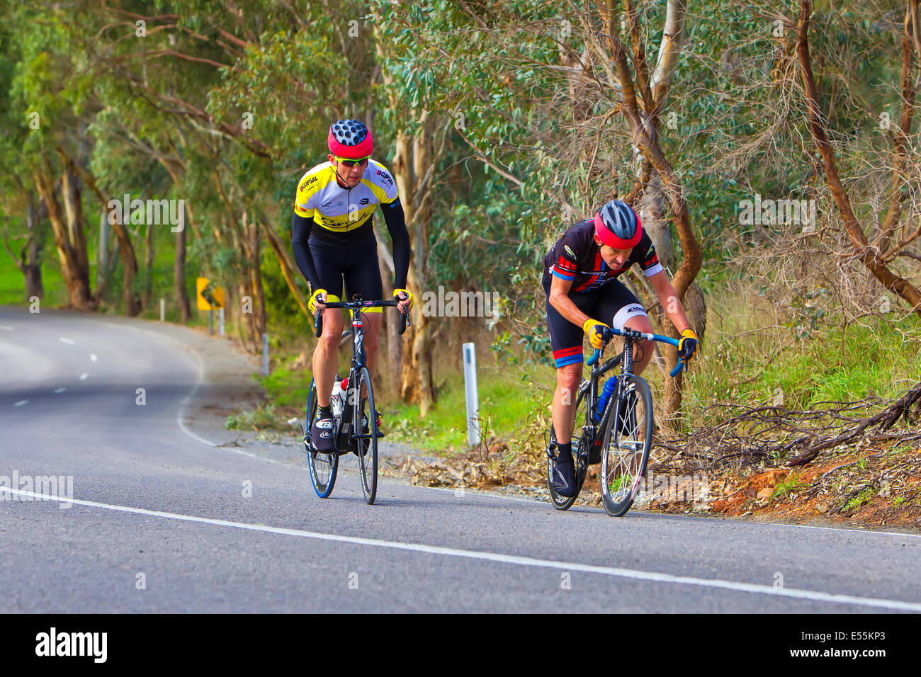 Southern Districts Veterans and Ladies Cycling Club racing McLaren Flat South Australia Fleurieu Peninsula Stock Photo