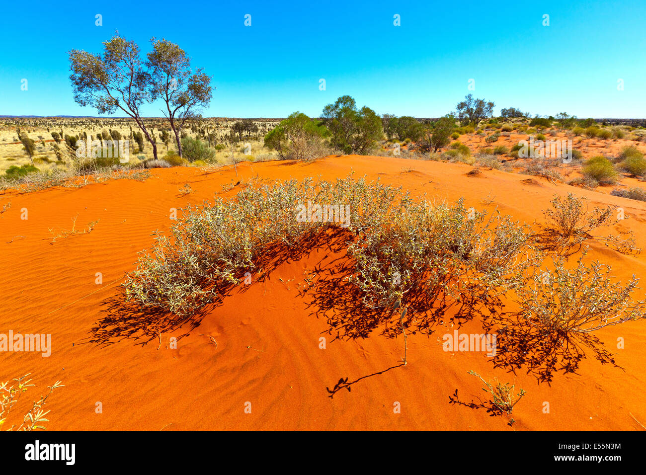 Central Australia Northern Territory Australia Australian Stock Photo