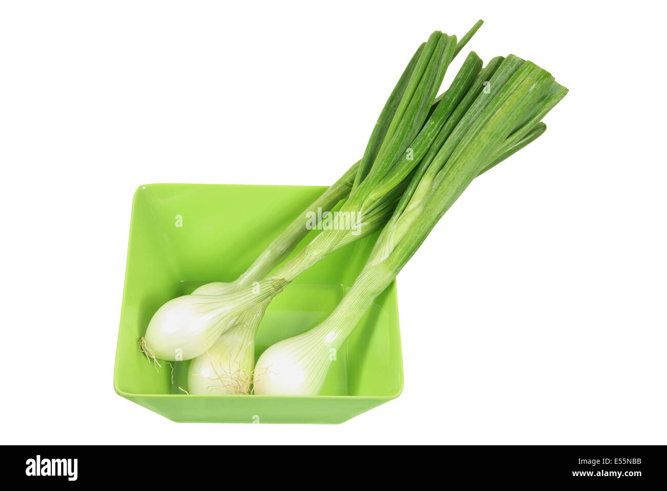 Shallots Vs Spring Onions