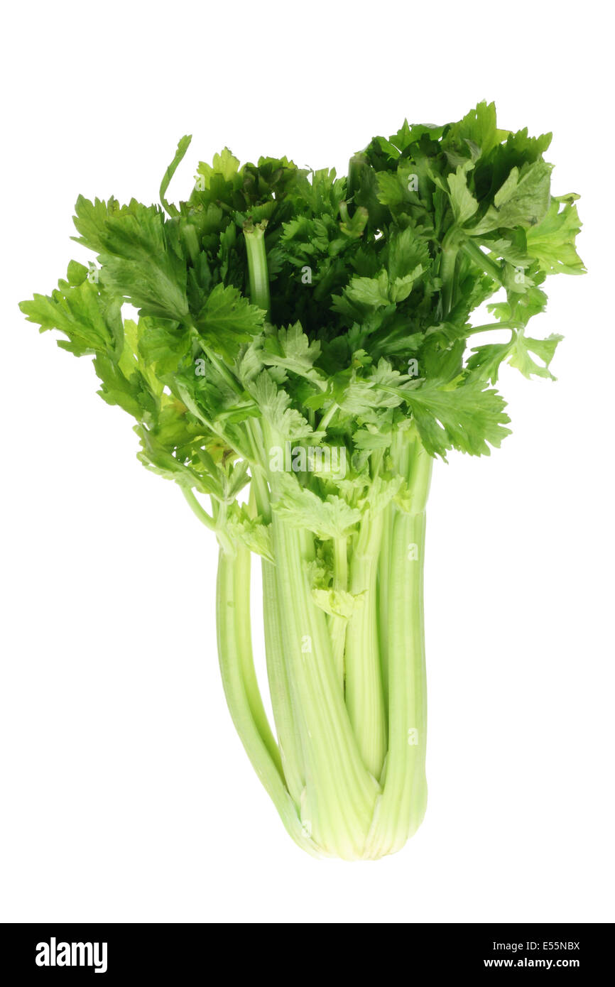 Bunch of Celery Stock Photo Alamy