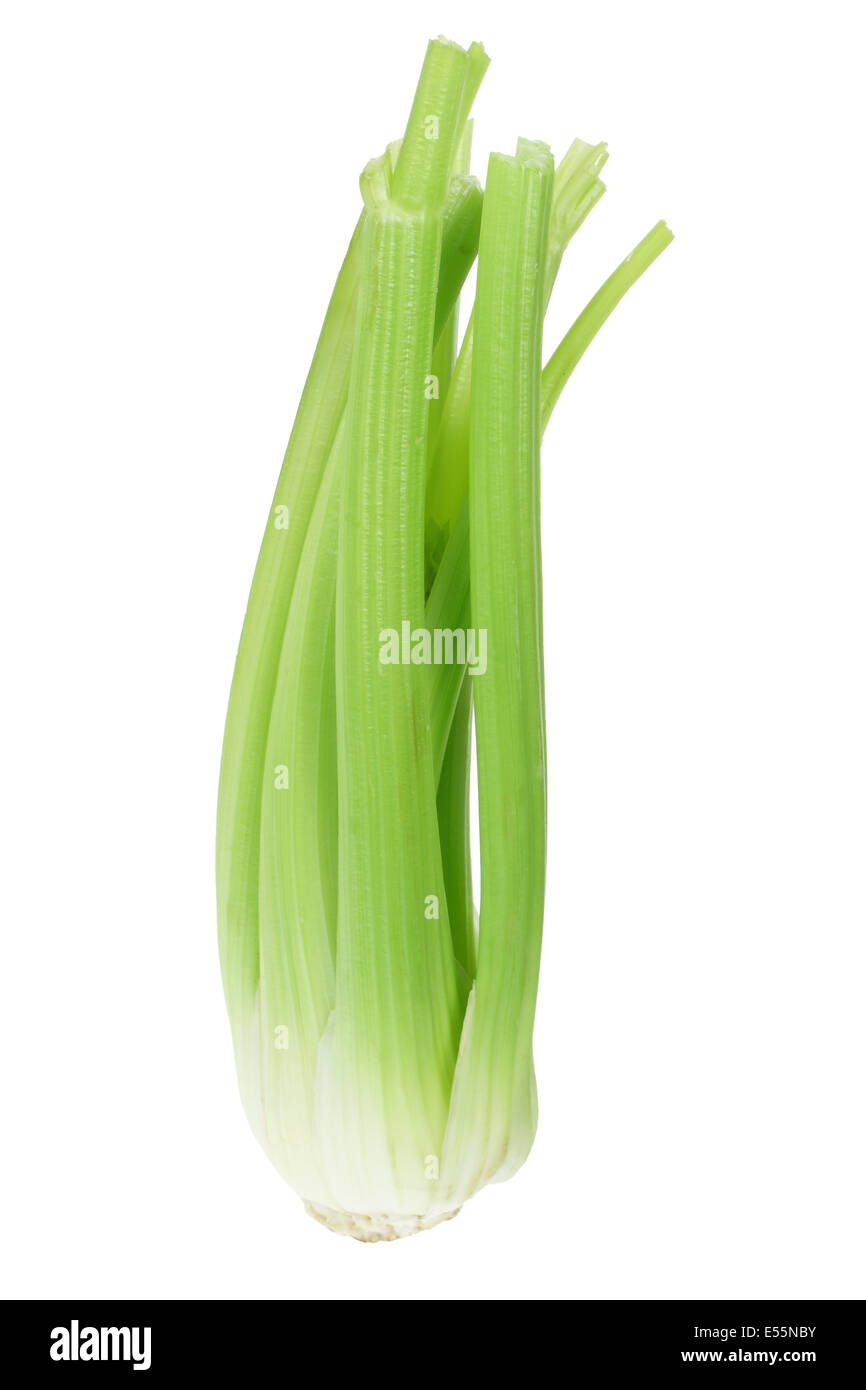 Celery stalk hires stock photography and images Alamy