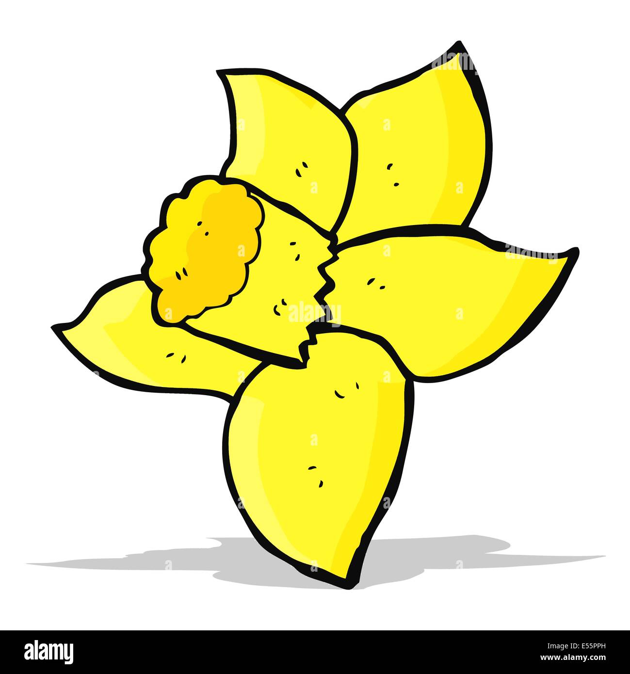 Cartoon daffodil hires stock photography and images Alamy