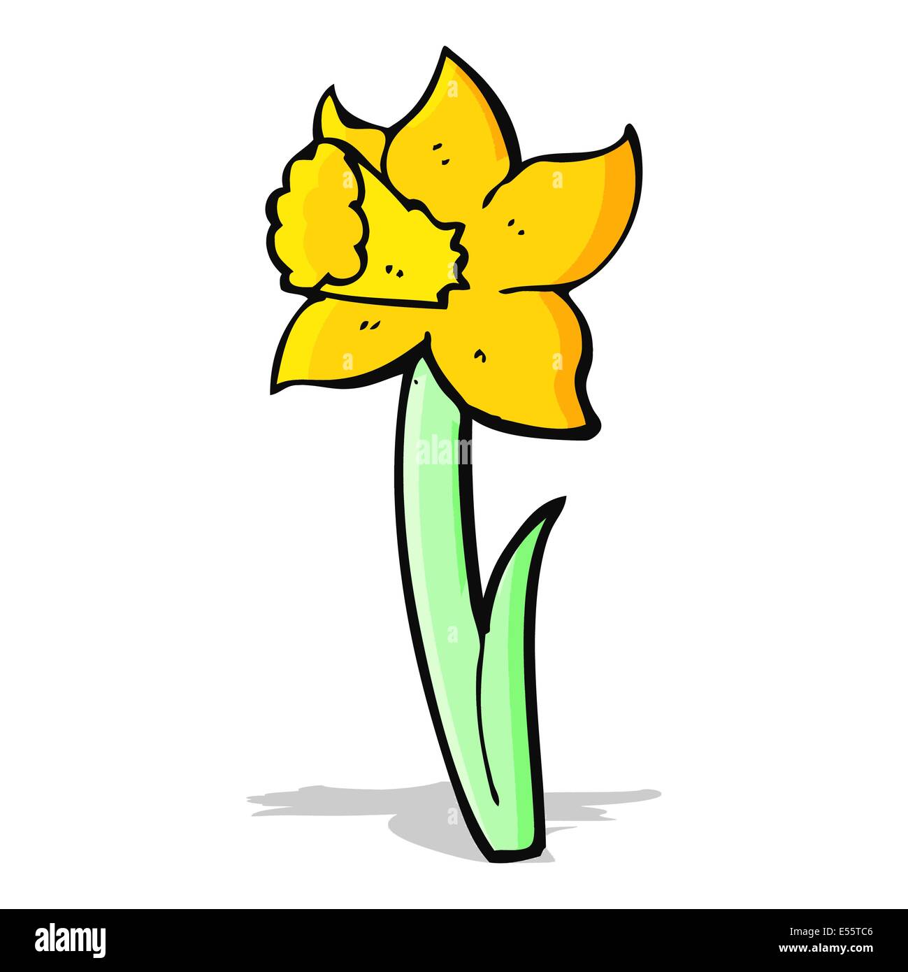 Cartoon daffodil hires stock photography and images Alamy