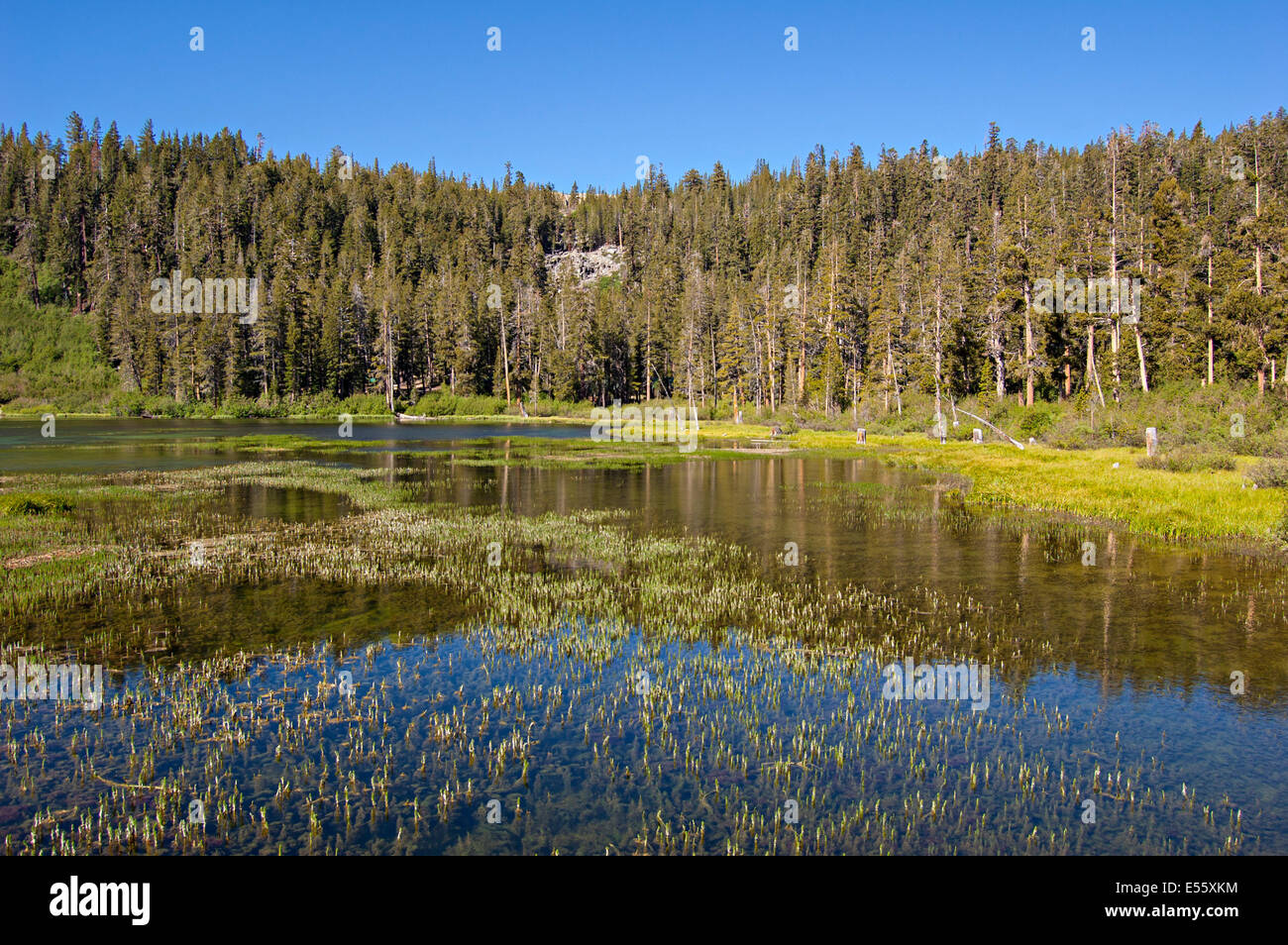 Mammoth Lakes, California. USA Stock Photo Alamy