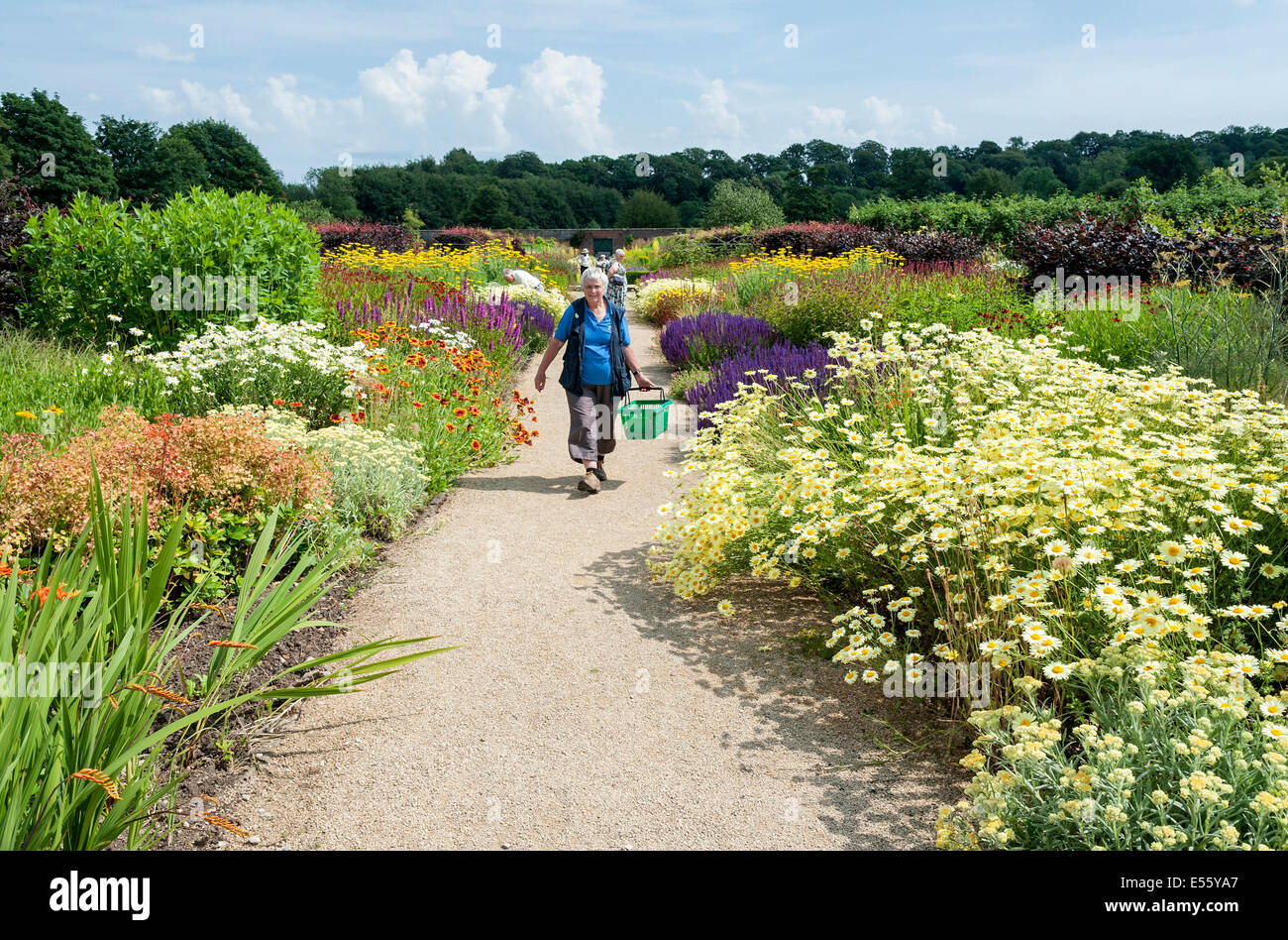 A shopper collecting plants on a sunny day at Helmsley walled garden Stock Photo
