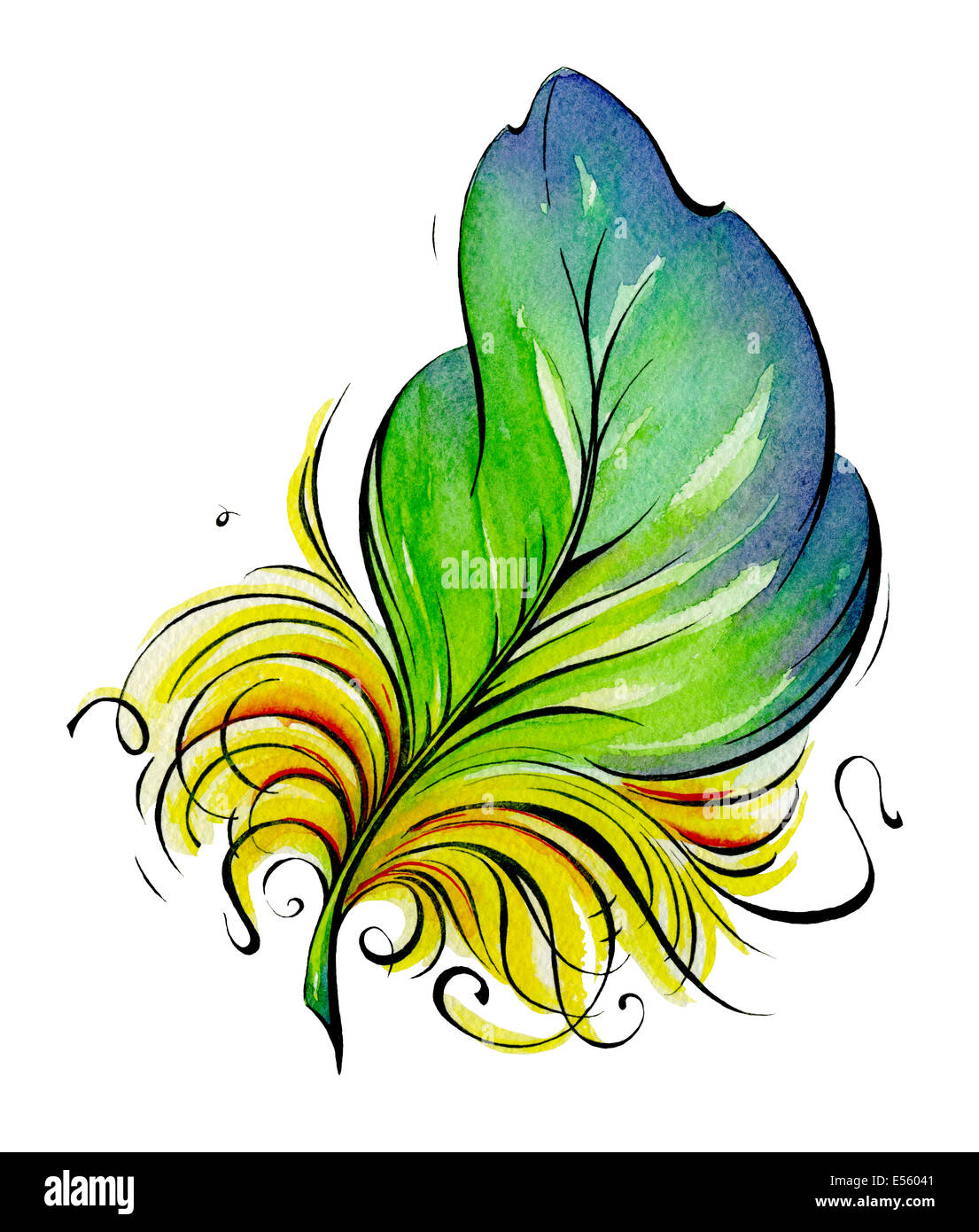 Feather. Watercolor illustration on the white background Stock Photo ...