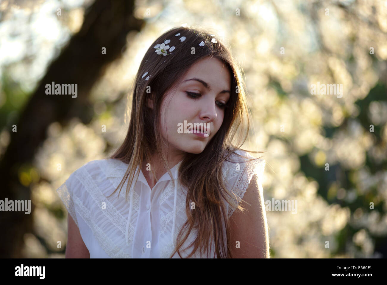 Portrait of a young woman with cherry blossoms Stock Photo - Alamy