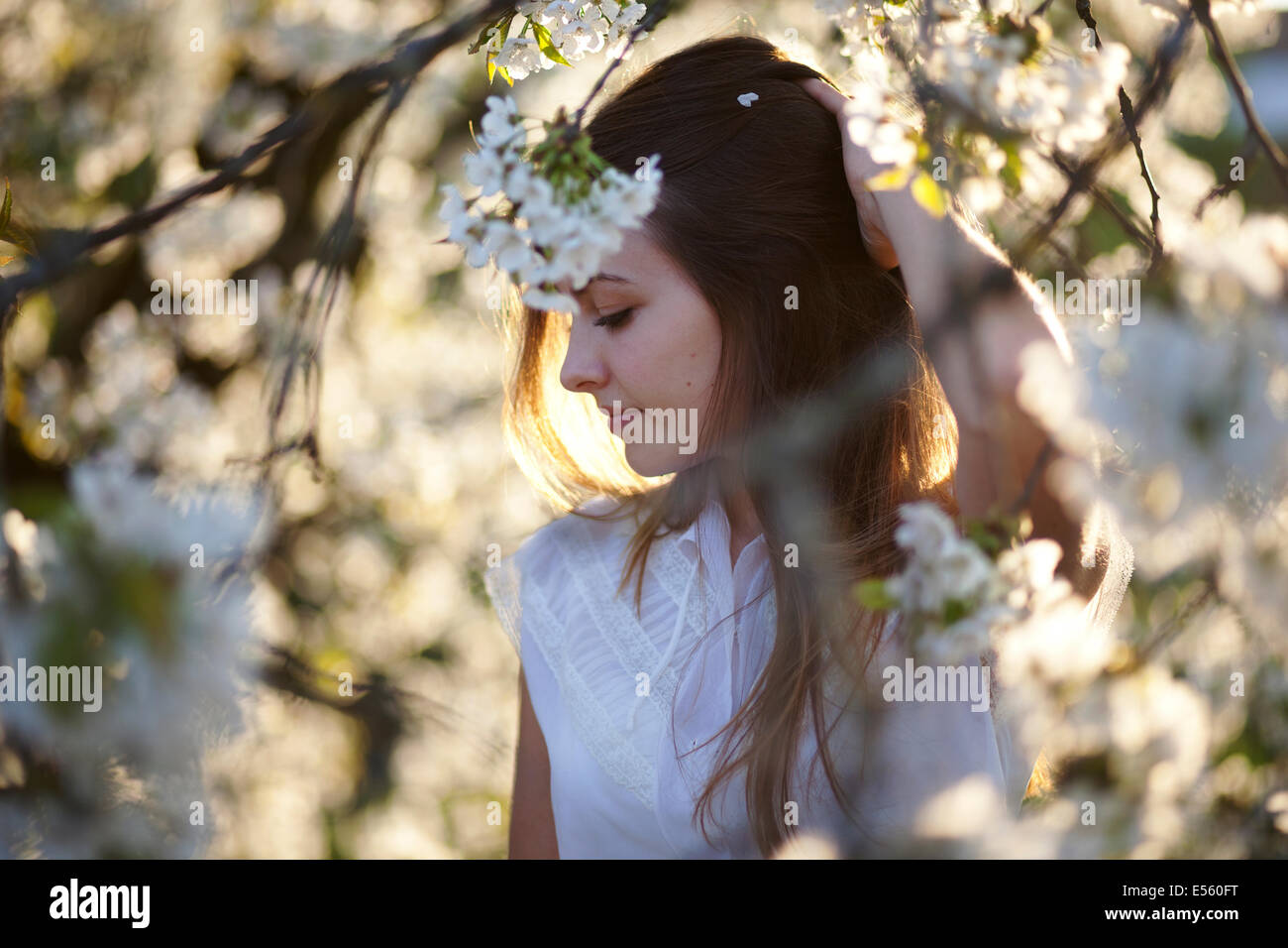 Portrait of a young woman with cherry blossoms Stock Photo - Alamy