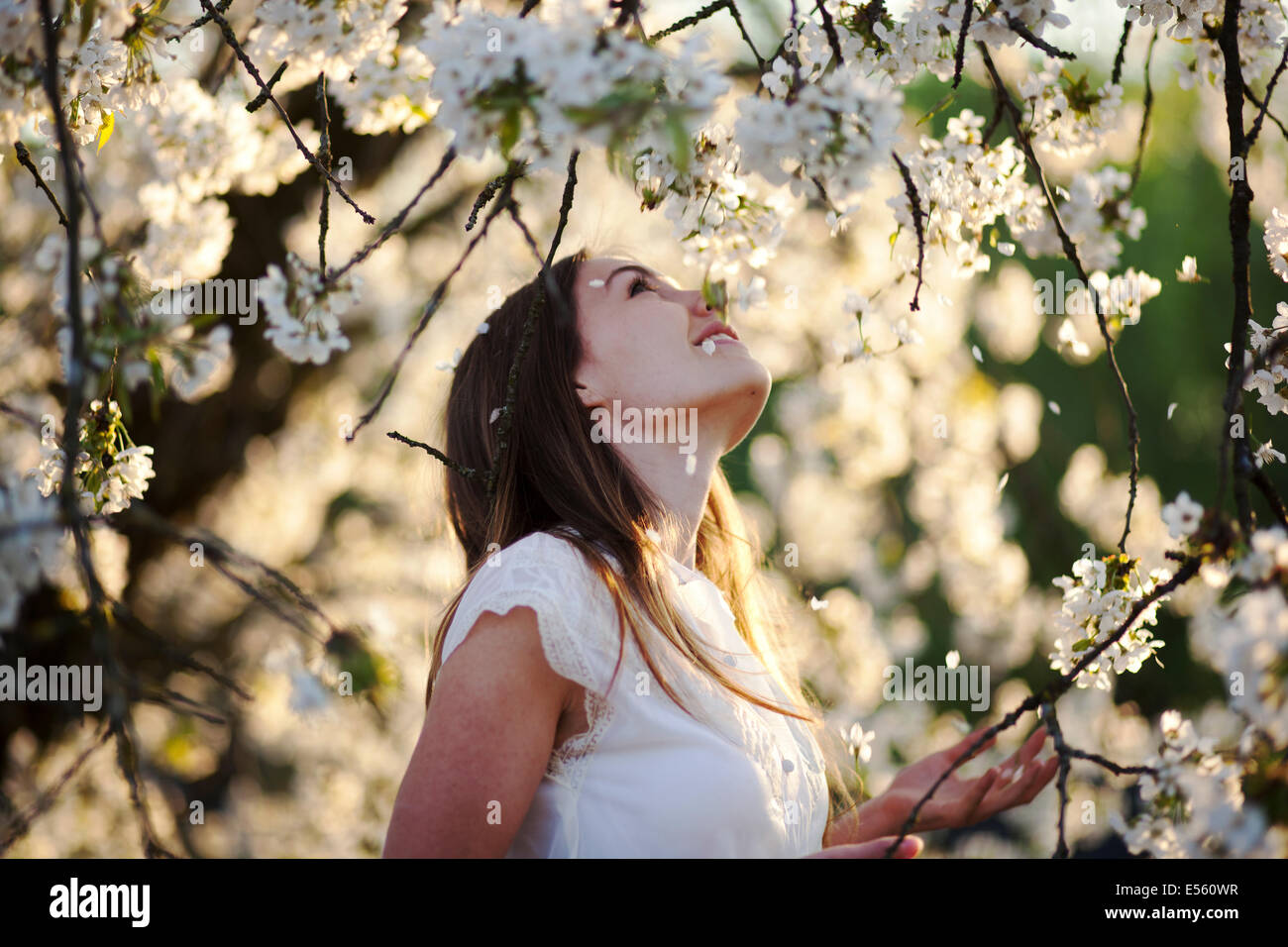 Portrait of a young woman with cherry blossoms Stock Photo - Alamy