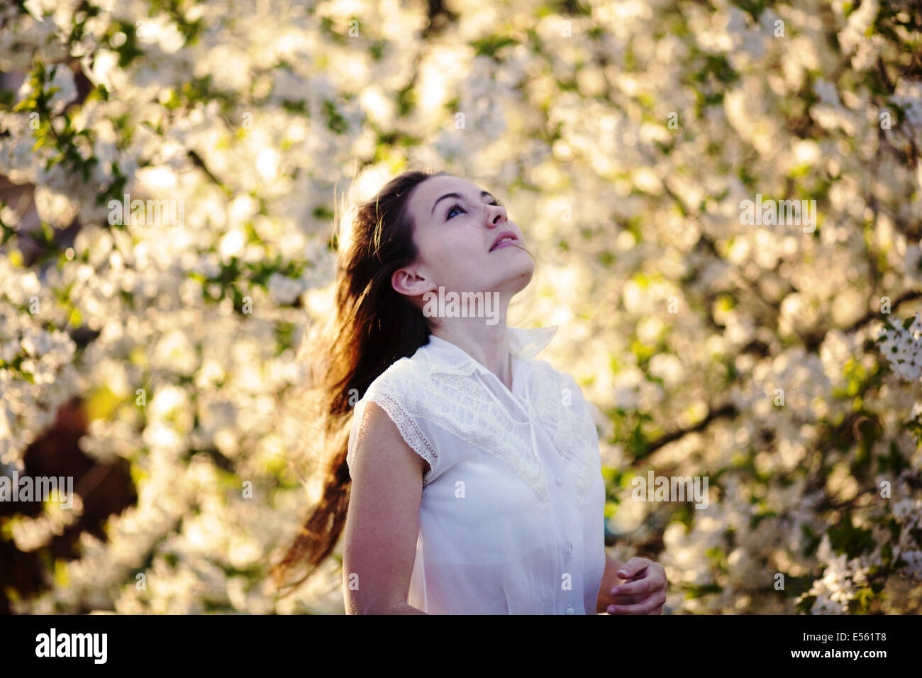 Portrait of a young woman with cherry blossoms Stock Photo - Alamy
