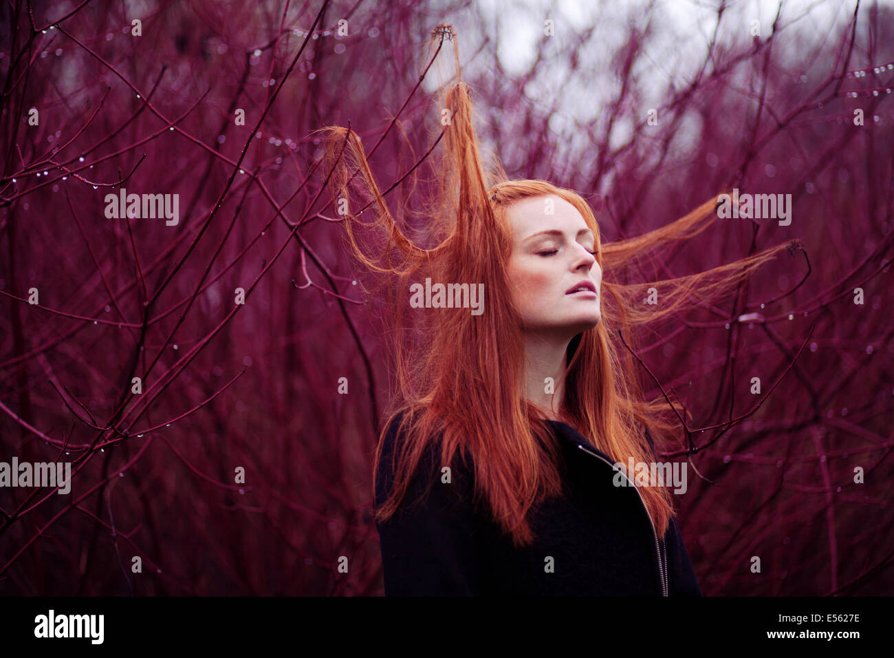 Woman with long red hair between branches, portrait Stock Photo