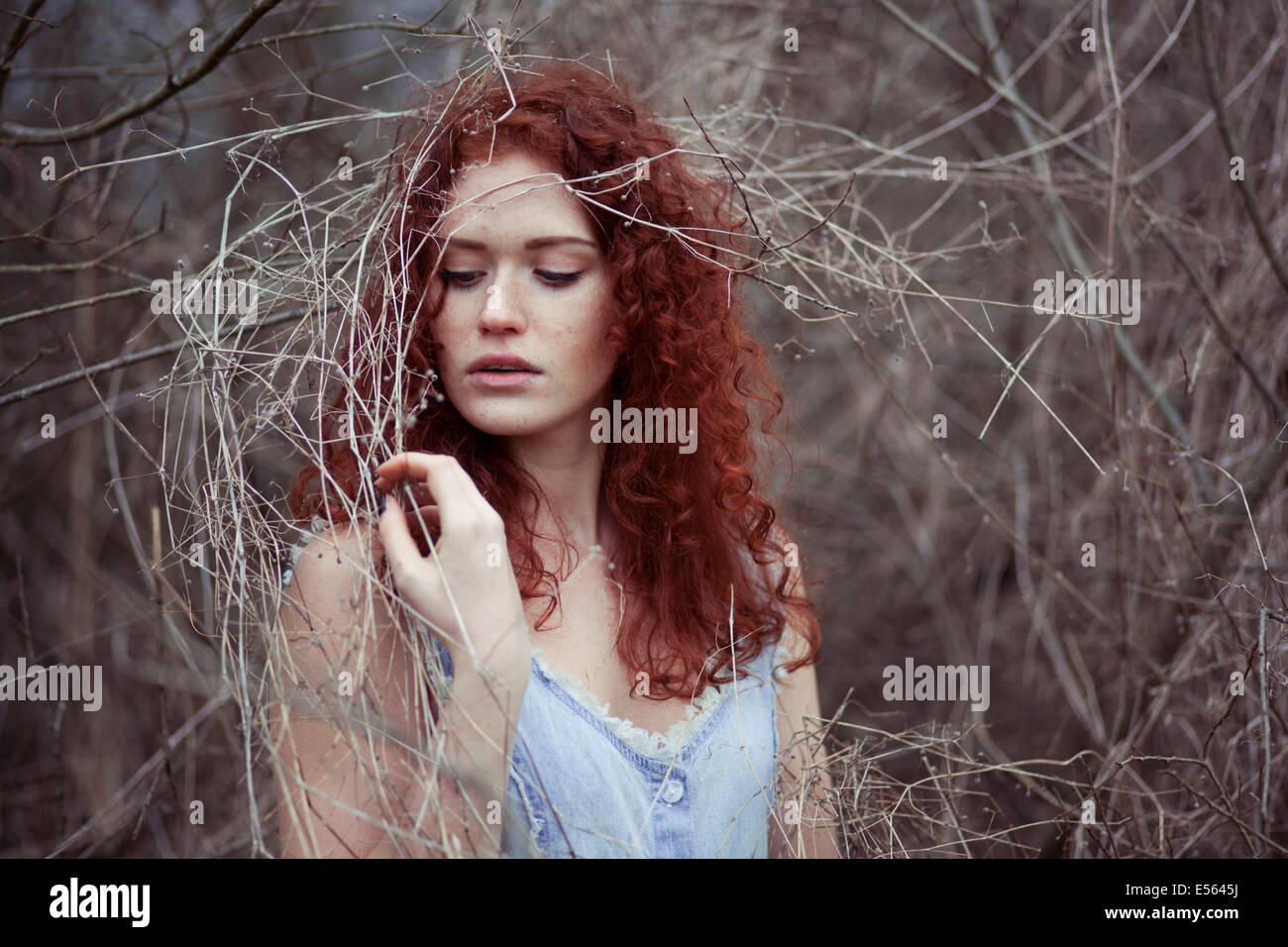 Woman with long red hair between branches, portrait Stock Photo