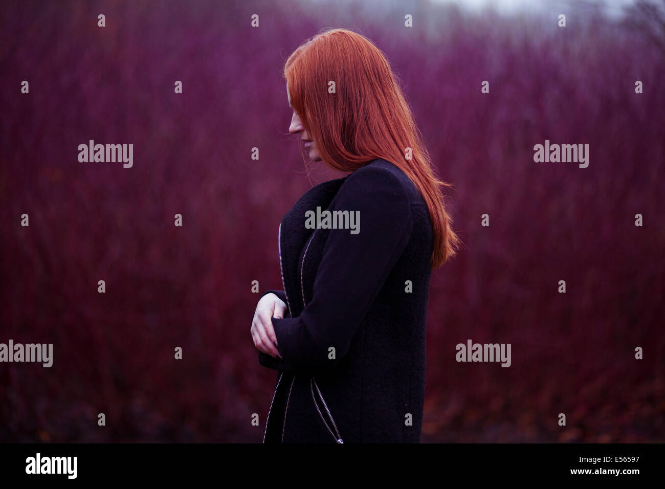 Woman with long red hair Stock Photo - Alamy