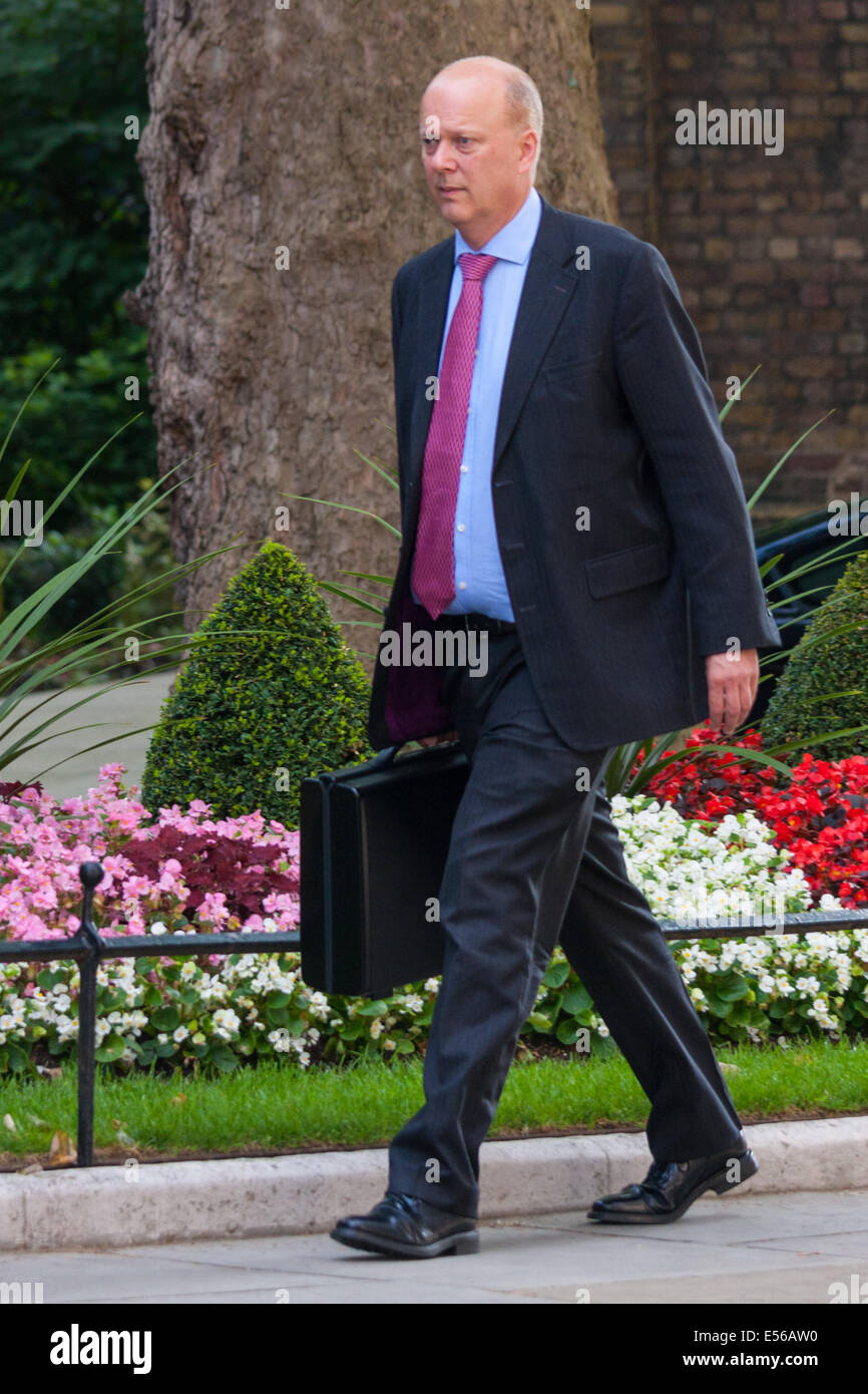 London, UK. 22nd July, 2014. Justice Secretary Chris Grayling attends the cabinet meeting at Downing Street Credit:  Paul Davey/Alamy Live News Stock Photo