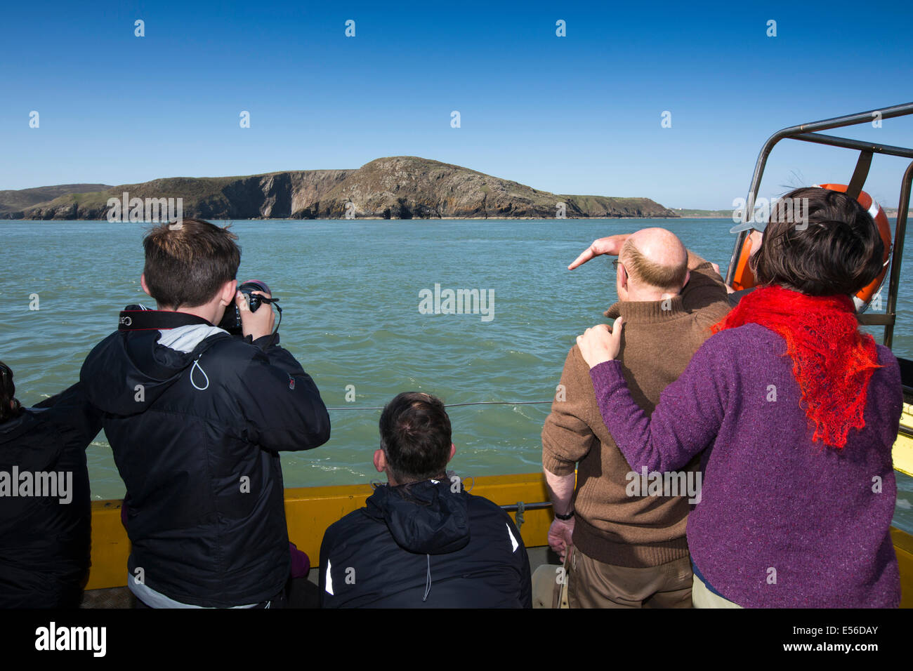 UK, Wales, Gwynedd, Lleyn peninsula, Bardsey Island ferry passengers watching porpoises in Bardsey Sound Stock Photo