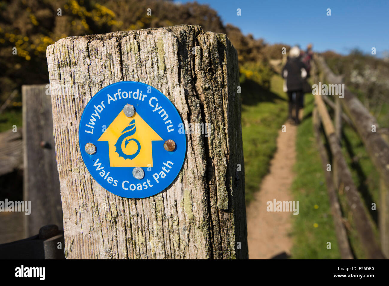UK, Wales, Gwynedd, Lleyn peninsula, Aberdaron, Uwchmynydd, Wales Coast Path post on cliff walk Stock Photo