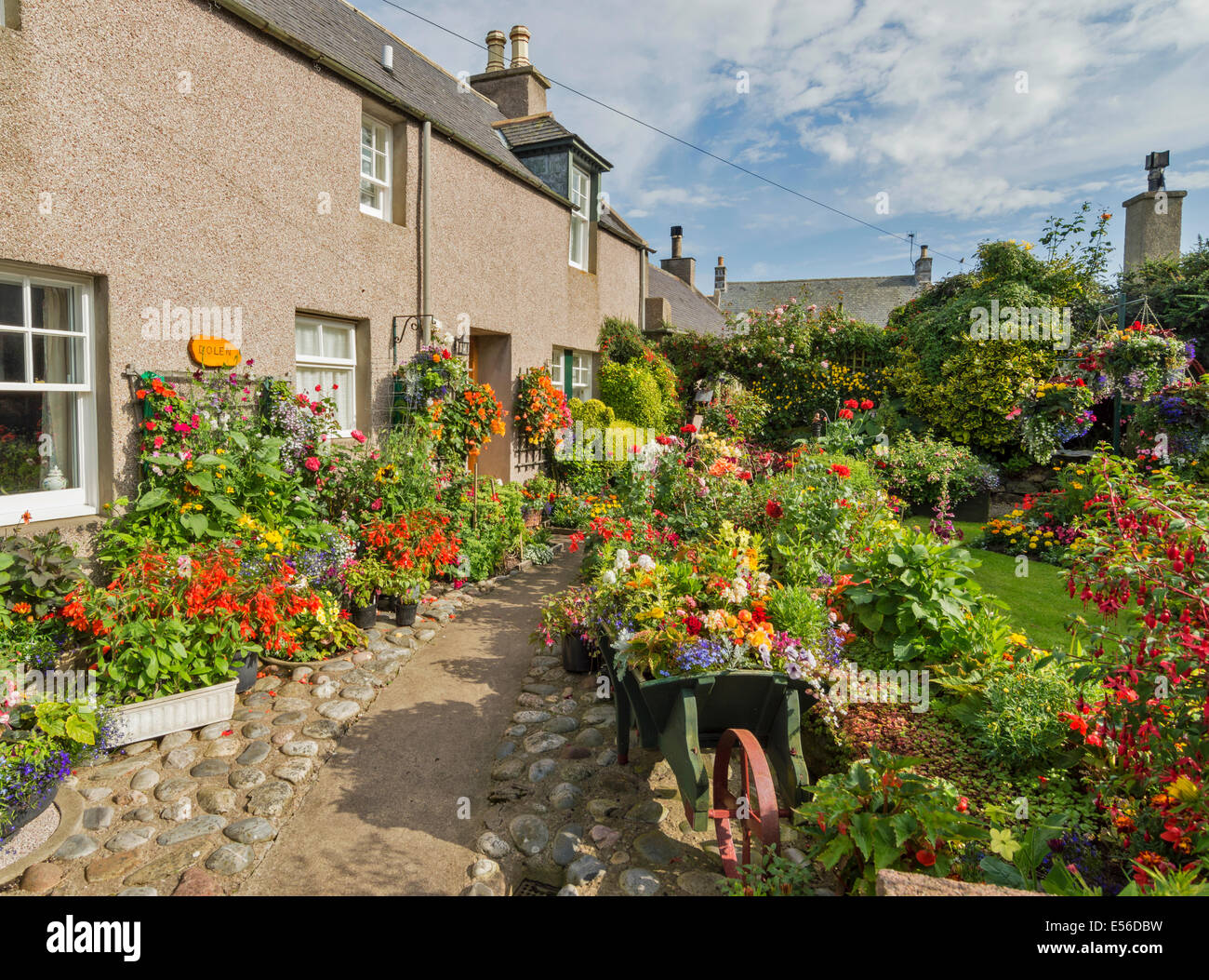 FORDYCE VILLAGE A GARDEN FULL OF FLOWERS IN SUMMER ABERDEENSHIRE