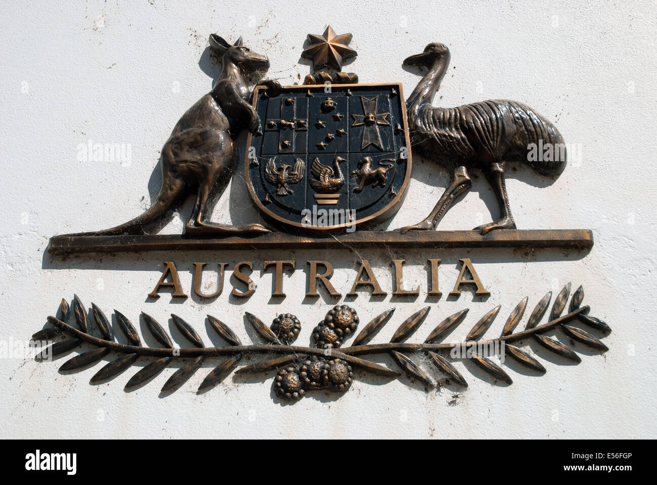 Australia national emblem kangaroo emu hi-res stock photography and images  - Alamy