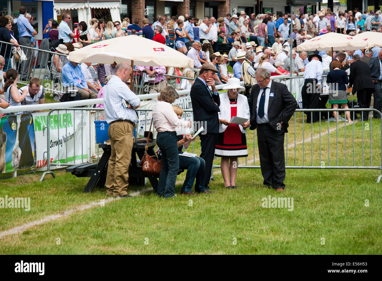 Judges at agricultural show Stock Photo