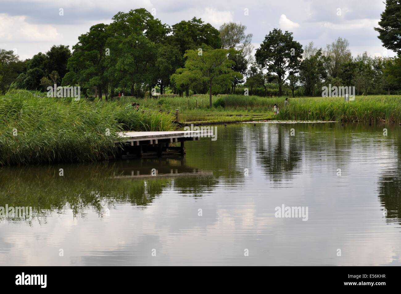 Hanyu Suigou Koen,Saitama,Japan Stock Photo - Alamy