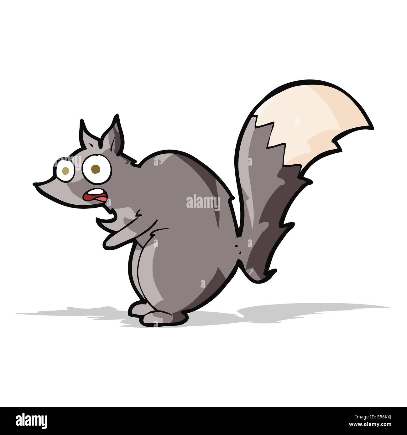 funny startled squirrel cartoon Stock Vector Image & Art Alamy