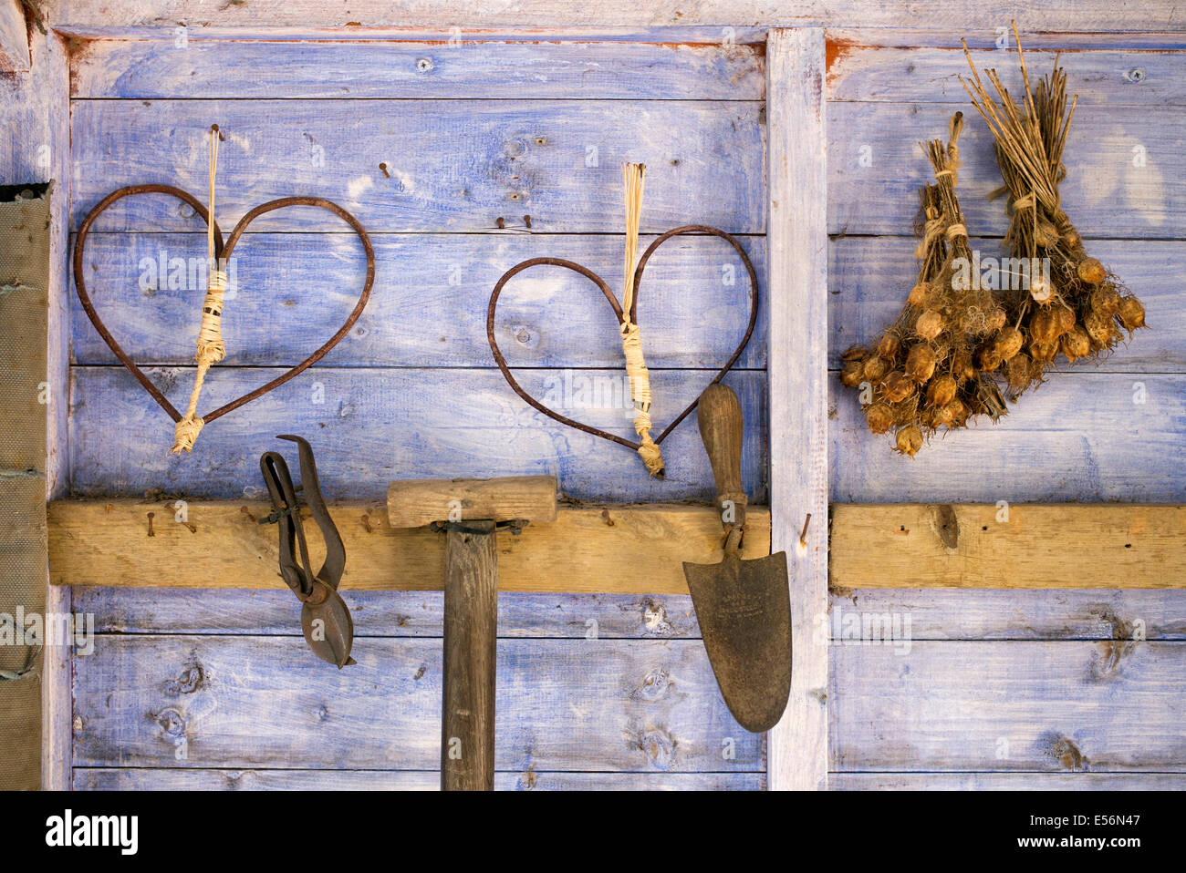 Stick Heart shapes and old garden tools inside the Victorian potting shed at RHS Harlow Carr, England Stock Photo