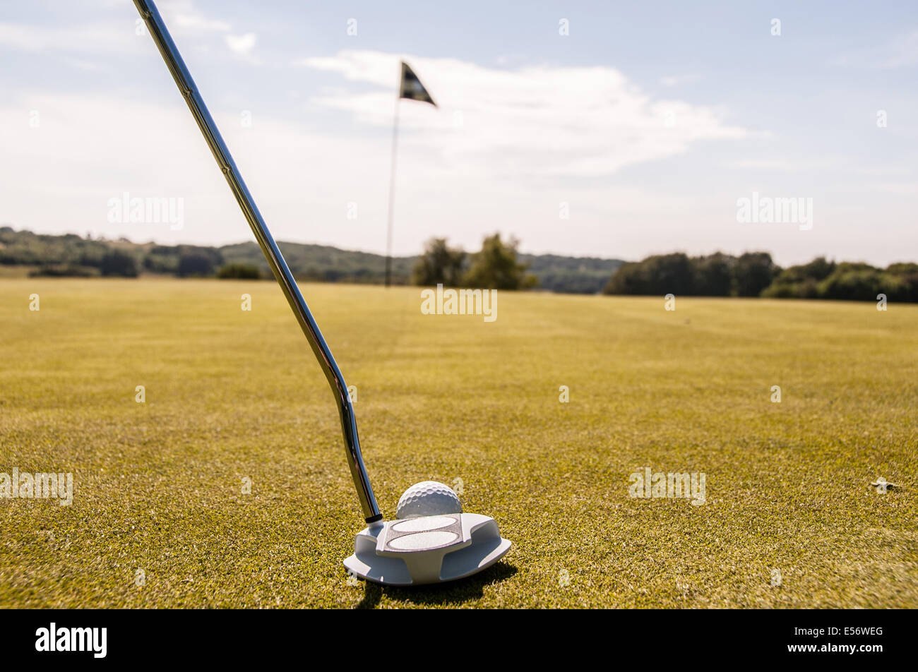 Golfer about to putt a white golf ball on the green towards a black and white checkered flag Stock Photo
