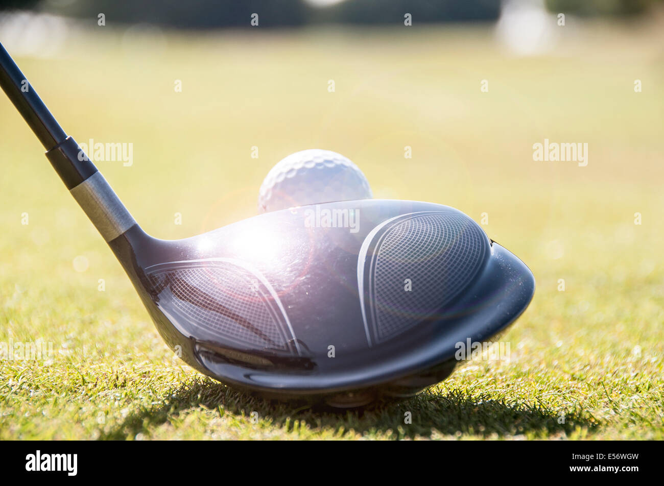 Golfer lining up a driver golf club on the tee, ready to hit the white golf ball. Stock Photo