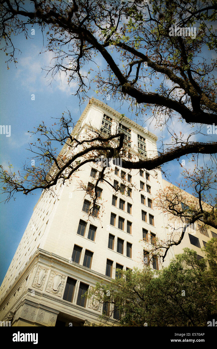 A NeoClassic and 3rd tallest building in Savannah, the Savannah Bank and Trust, appears between