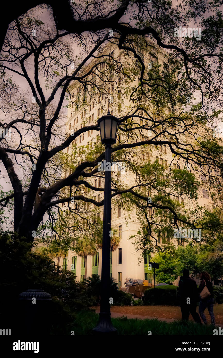 A NeoClassic and 3rd tallest building in Savannah, the Savannah Bank and Trust, appears between