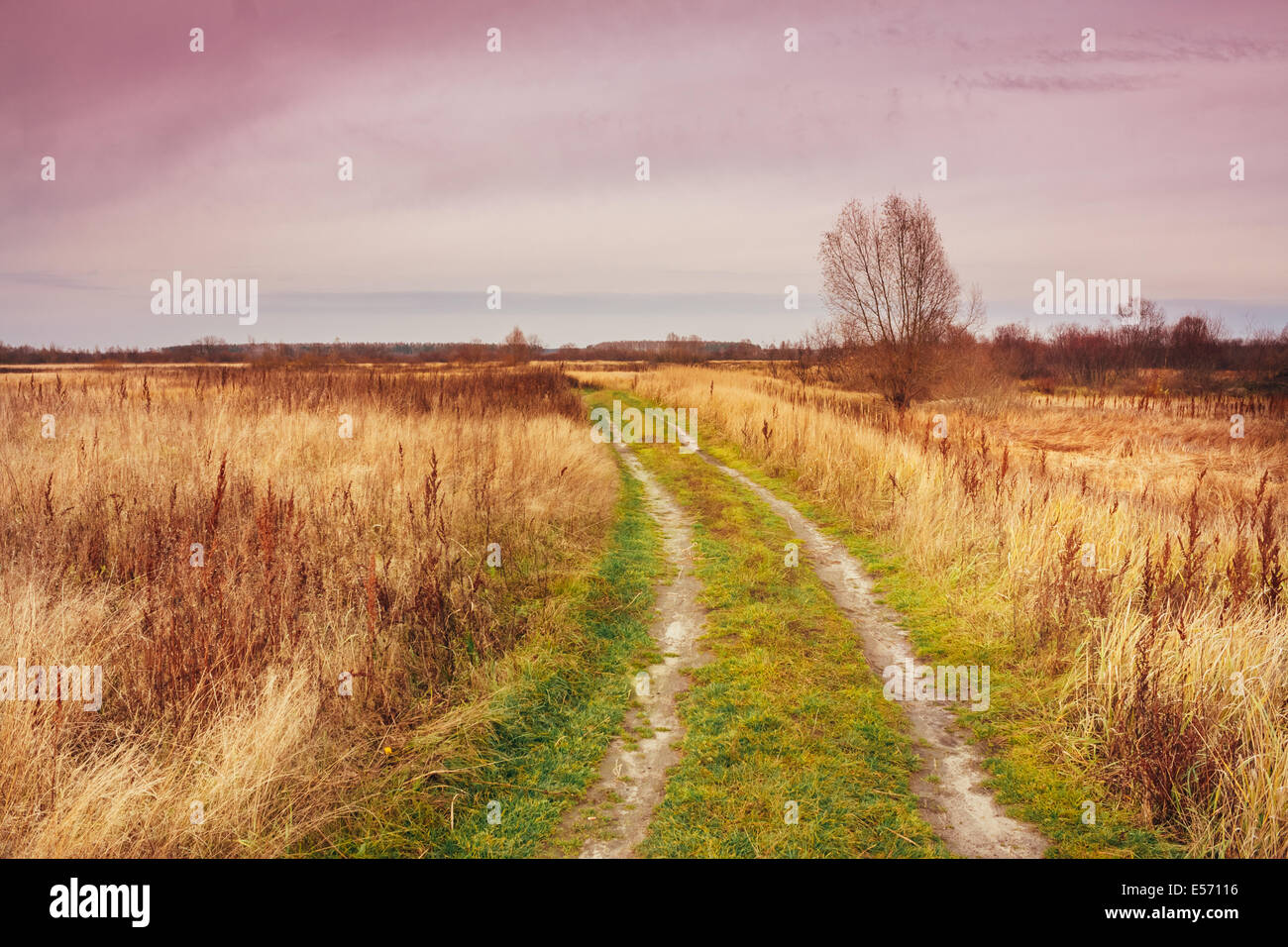 Empty Countryside Road Through Fields With Dry Yellow Grass Stock Photo ...