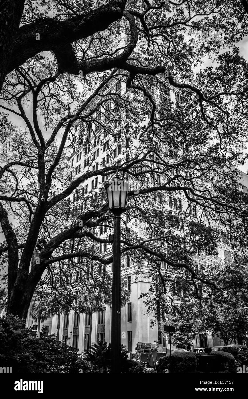 A NeoClassic and 3rd tallest building in Savannah, the Savannah Bank and Trust, appears between