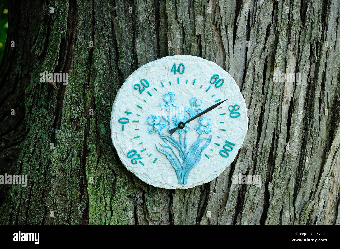 Outdoor garden thermometer on tree Stock Photo Alamy